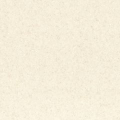 5X10 CORIAN SOLID SURFACE ABALONE