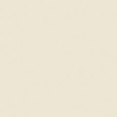 5X10 CORIAN SOLID SURFACE BISQUE