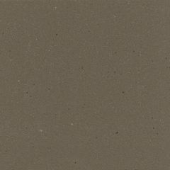 10X10 CORIAN SOLID SURFACE SERENE SAGE
