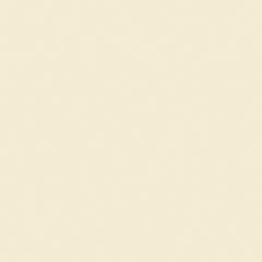 5X10 CORIAN SOLID SURFACE VANILLA